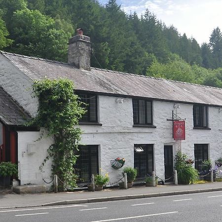 Dragon Bed And Breakfast 베투스 이 코이드 외부 사진
